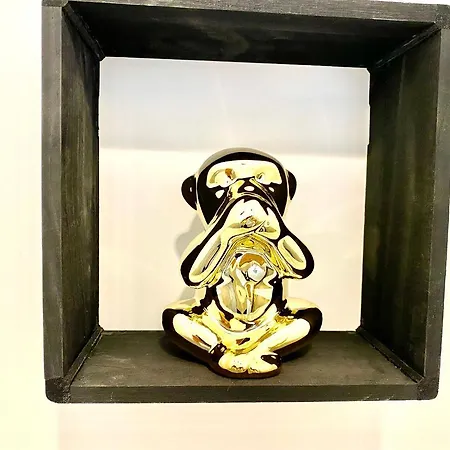 La Contemporaine Brax (Lot-et-Garonne)